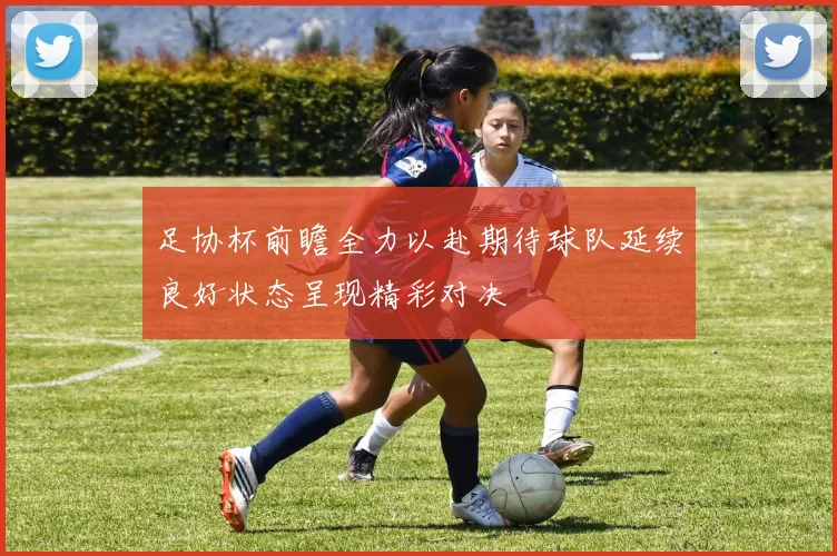足协杯前瞻全力以赴期待球队延续良好状态呈现精彩对决