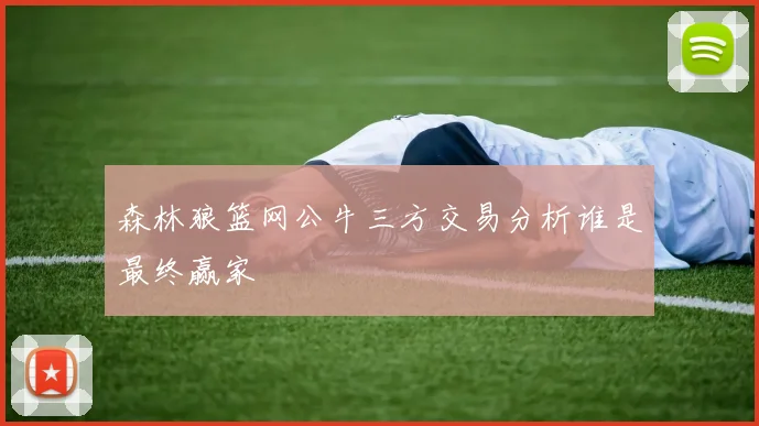 森林狼篮网公牛三方交易分析谁是最终赢家