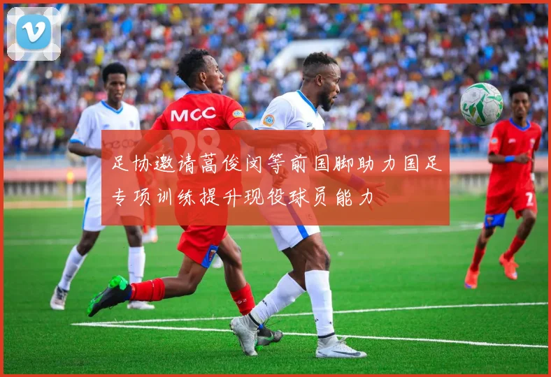 足协邀请蒿俊闵等前国脚助力国足专项训练提升现役球员能力