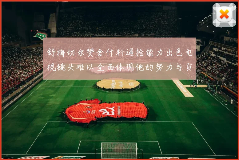 舒梅切尔赞舍什科逼抢能力出色电视镜头难以全面体现他的努力与贡献
